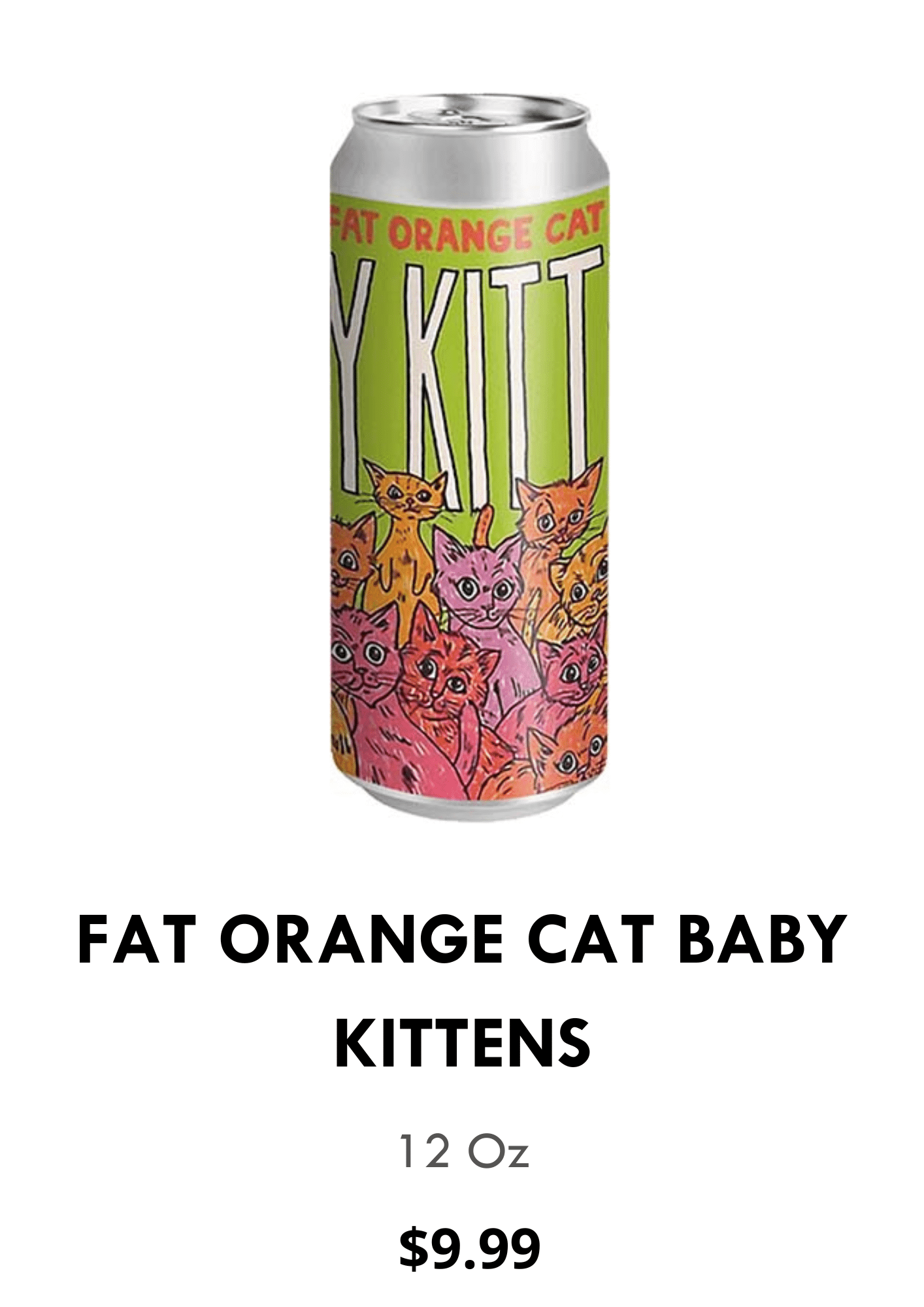 Fat Orange Cat Baby Kittens